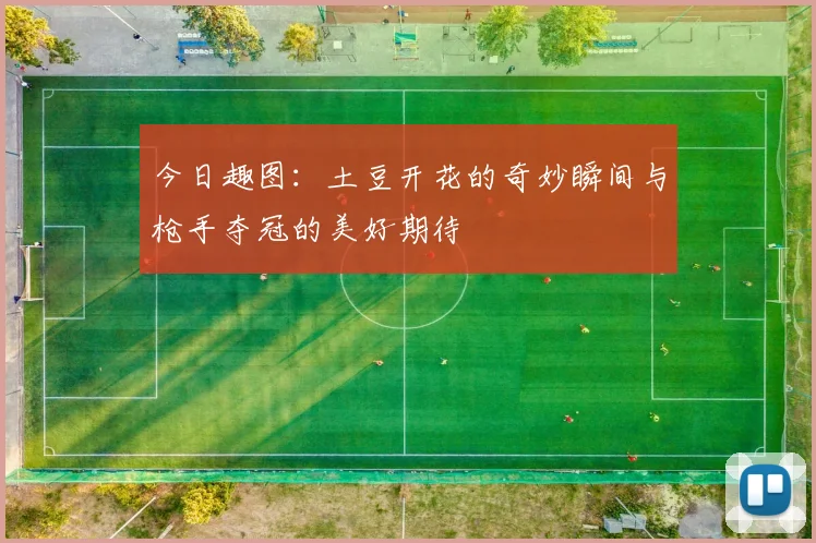 今日趣图：土豆开花的奇妙瞬间与枪手夺冠的美好期待