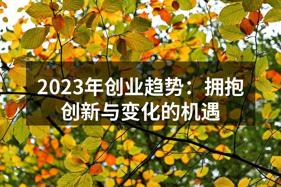 2023年创业趋势：拥抱创新与变化的机遇